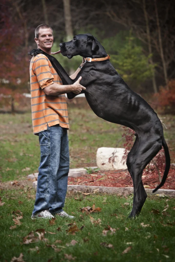 140912 tallest dog mn 1140