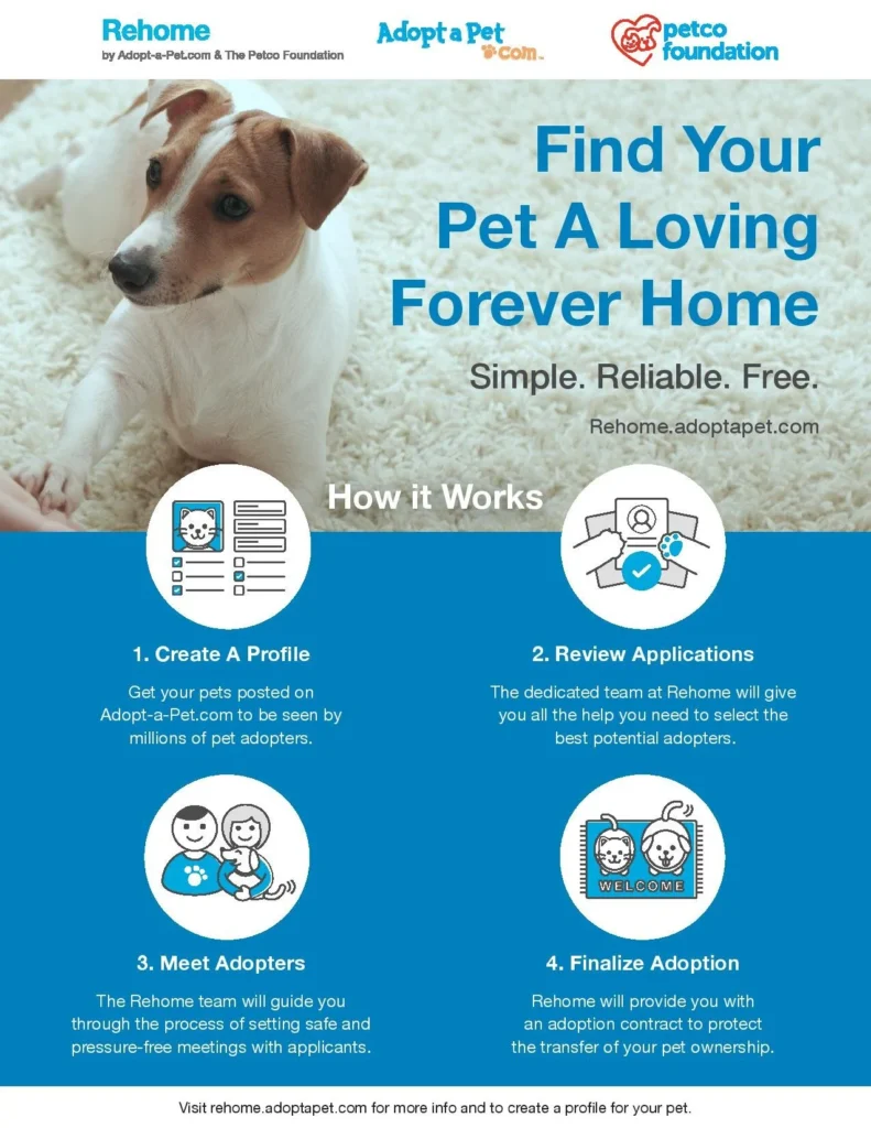 rehome+pet