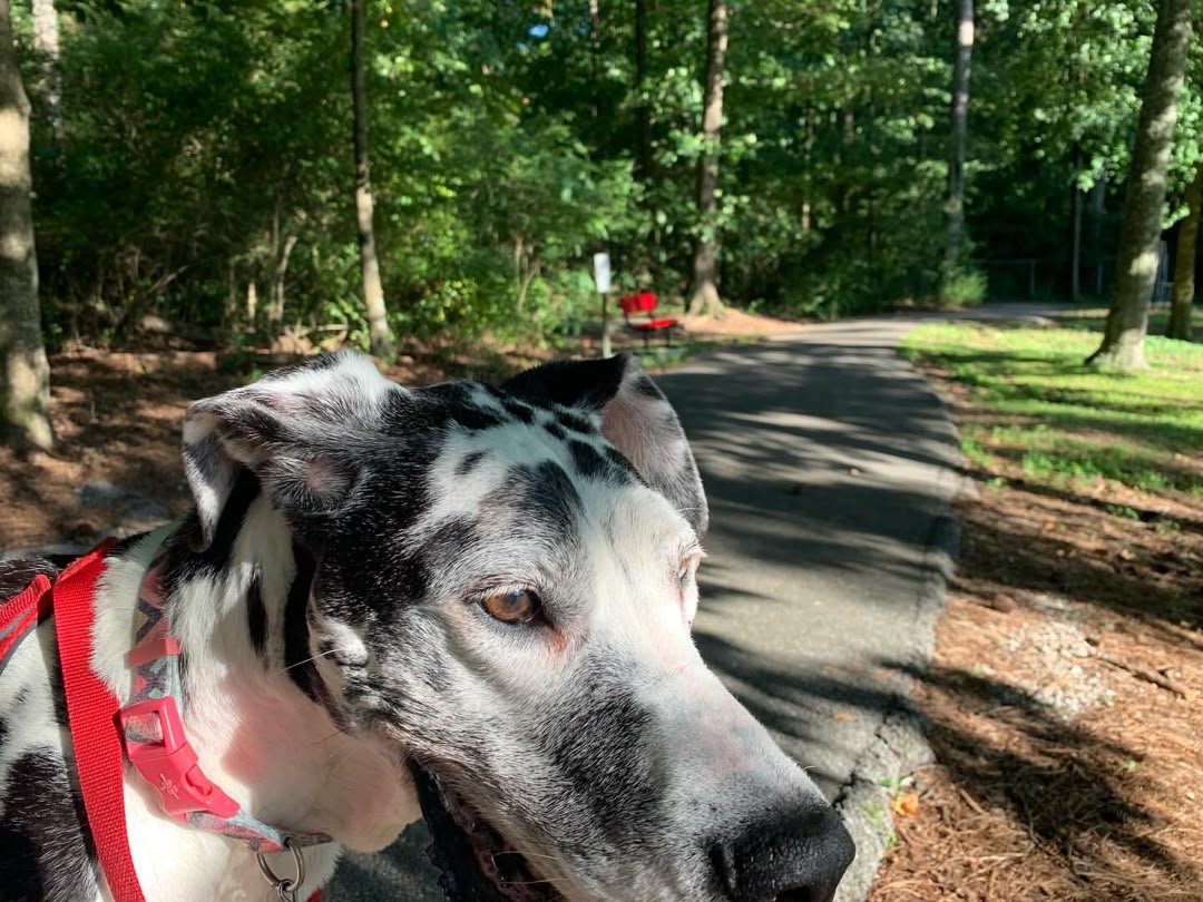 whatsapp image 2026 09 29 at 13.41.26 (2) whatsapp image 2026 09 29 at 13.41.26 (2)
